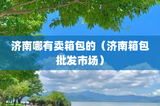 济南哪有卖箱包的（济南箱包批发市场）