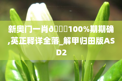 新奥门一肖🀄100%期期确,英正释详全落_解甲归田版ASD2