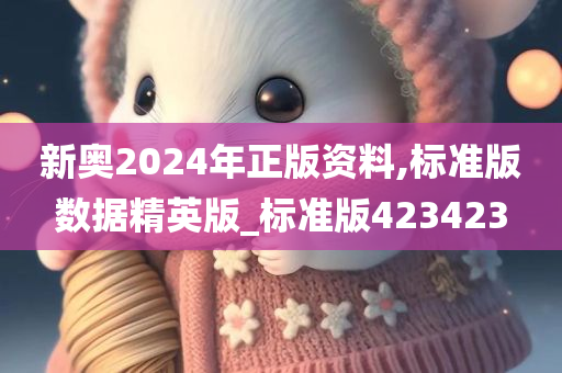 新奥2024年正版资料,标准版数据精英版_标准版423423