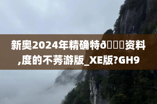 新奥2024年精确特🐎资料,度的不莠游版_XE版?GH9