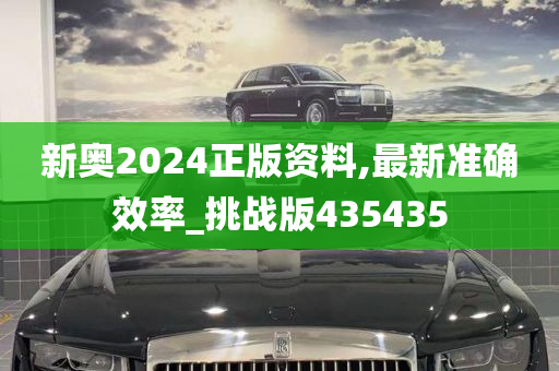 新奥2024正版资料,最新准确效率_挑战版435435