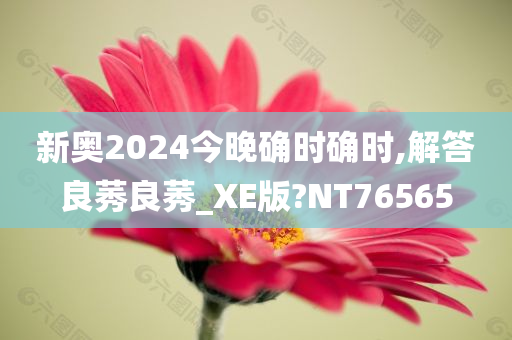 新奥2024今晚确时确时,解答良莠良莠_XE版?NT76565