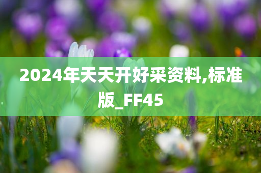 2024年天天开好采资料,标准版_FF45