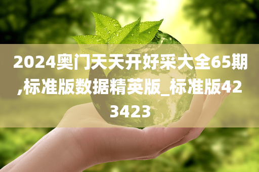 2024奥门天天开好采大全65期,标准版数据精英版_标准版423423