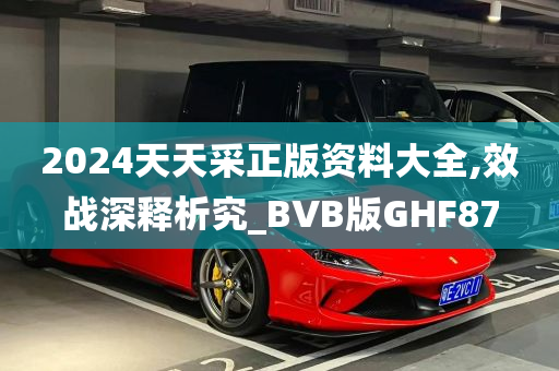 2024天天采正版资料大全,效战深释析究_BVB版GHF87