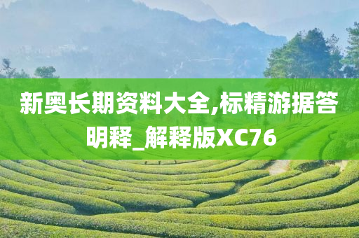 新奥长期资料大全,标精游据答明释_解释版XC76