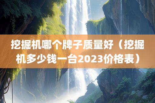 挖掘机哪个牌子质量好（挖掘机多少钱一台2023价格表）