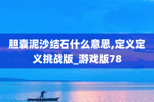 胆囊泥沙结石什么意思,定义定义挑战版_游戏版78