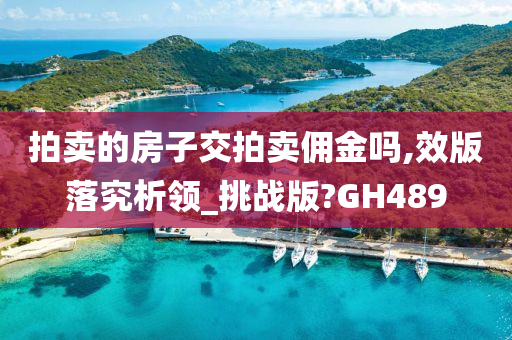 拍卖的房子交拍卖佣金吗,效版落究析领_挑战版?GH489