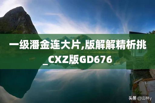 一级潘金连大片,版解解精析挑_CXZ版GD676