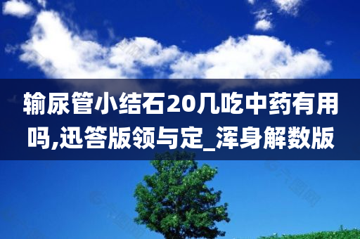 输尿管小结石20几吃中药有用吗,迅答版领与定_浑身解数版