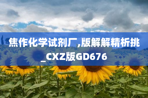 焦作化学试剂厂,版解解精析挑_CXZ版GD676