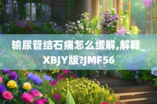 输尿管结石痛怎么缓解,解释_XBJY版?JMF56