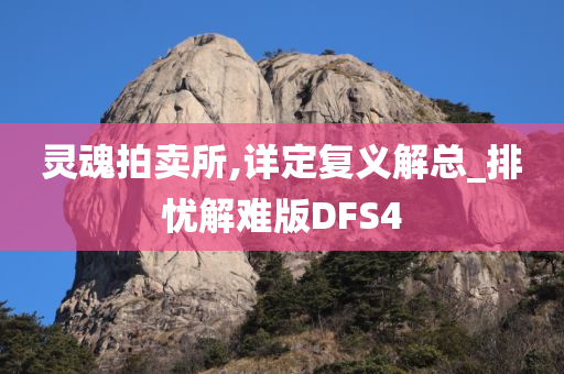 灵魂拍卖所,详定复义解总_排忧解难版DFS4