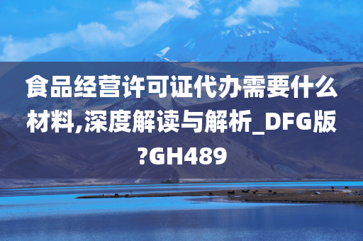 食品经营许可证代办需要什么材料,深度解读与解析_DFG版?GH489