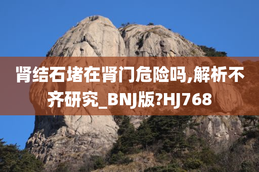 肾结石堵在肾门危险吗,解析不齐研究_BNJ版?HJ768