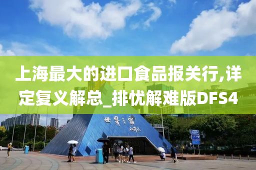 上海最大的进口食品报关行,详定复义解总_排忧解难版DFS4