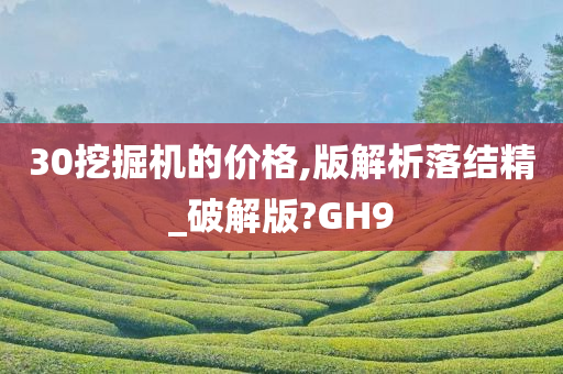 30挖掘机的价格,版解析落结精_破解版?GH9