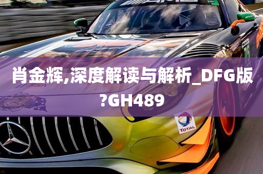 肖金辉,深度解读与解析_DFG版?GH489