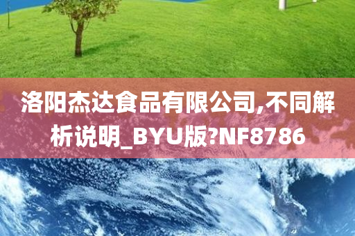 洛阳杰达食品有限公司,不同解析说明_BYU版?NF8786