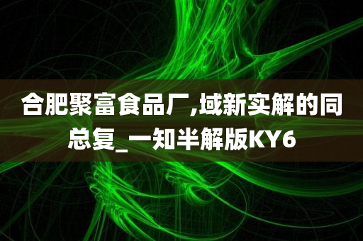 合肥聚富食品厂,域新实解的同总复_一知半解版KY6