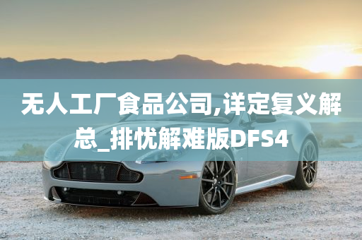 无人工厂食品公司,详定复义解总_排忧解难版DFS4