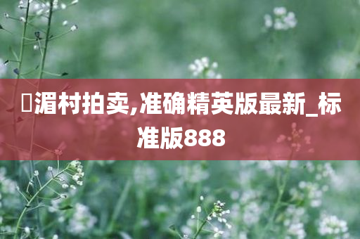 湴湄村拍卖,准确精英版最新_标准版888