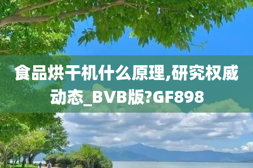 食品烘干机什么原理,研究权威动态_BVB版?GF898