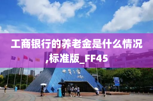 工商银行的养老金是什么情况,标准版_FF45