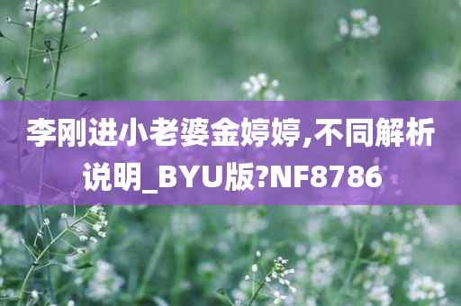 李刚进小老婆金婷婷,不同解析说明_BYU版?NF8786