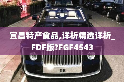 宜昌特产食品,详析精选详析_FDF版?FGF4543