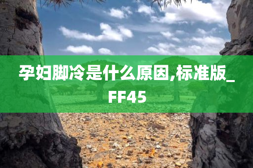 孕妇脚冷是什么原因,标准版_FF45