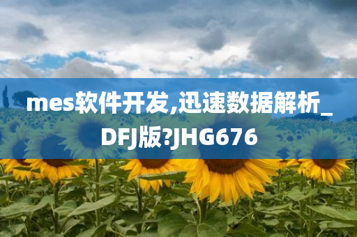 mes软件开发,迅速数据解析_DFJ版?JHG676