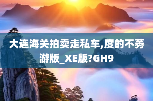 大连海关拍卖走私车,度的不莠游版_XE版?GH9