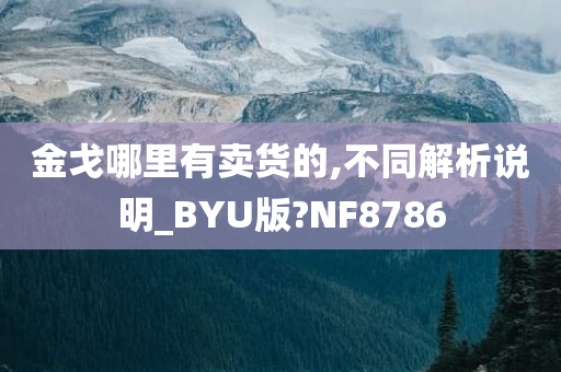 金戈哪里有卖货的,不同解析说明_BYU版?NF8786