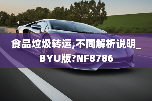 食品垃圾转运,不同解析说明_BYU版?NF8786