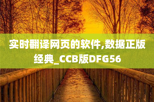 实时翻译网页的软件,数据正版经典_CCB版DFG56