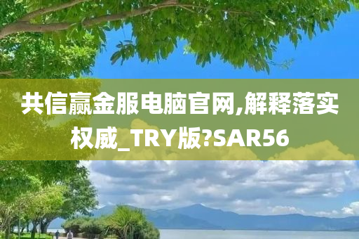 共信赢金服电脑官网,解释落实权威_TRY版?SAR56