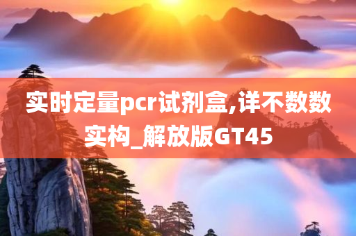 实时定量pcr试剂盒,详不数数实构_解放版GT45