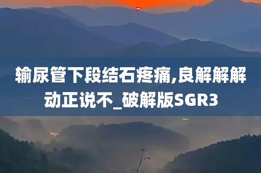 输尿管下段结石疼痛,良解解解动正说不_破解版SGR3