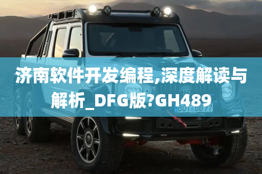 济南软件开发编程,深度解读与解析_DFG版?GH489