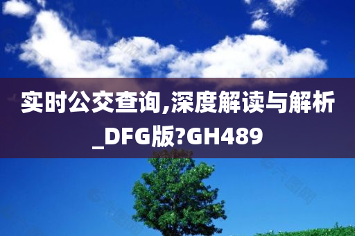 实时公交查询,深度解读与解析_DFG版?GH489