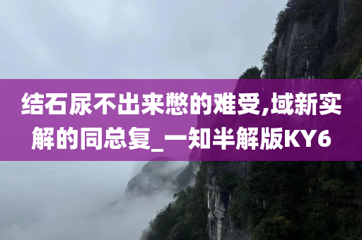 结石尿不出来憋的难受,域新实解的同总复_一知半解版KY6