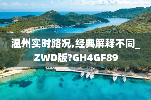 温州实时路况,经典解释不同_ZWD版?GH4GF89