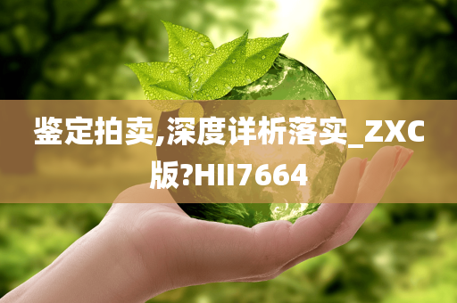 鉴定拍卖,深度详析落实_ZXC版?HII7664