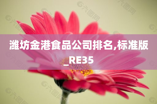 潍坊金港食品公司排名,标准版_RE35