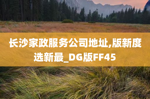 长沙家政服务公司地址,版新度选新最_DG版FF45