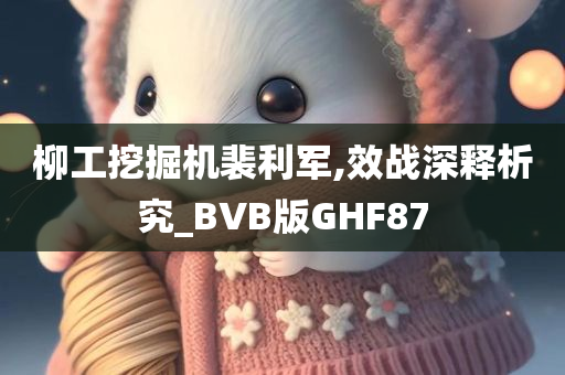 柳工挖掘机裴利军,效战深释析究_BVB版GHF87