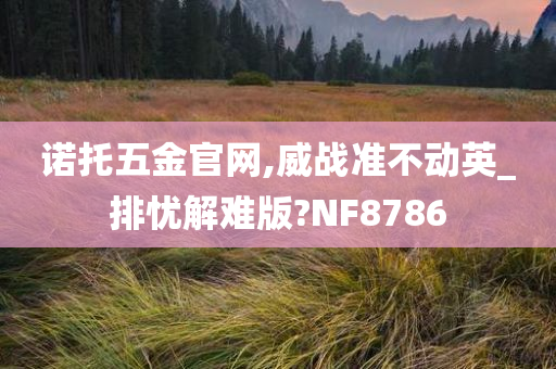 诺托五金官网,威战准不动英_排忧解难版?NF8786