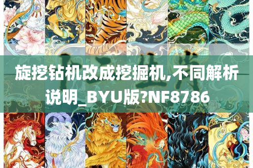 旋挖钻机改成挖掘机,不同解析说明_BYU版?NF8786